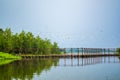 Fish fence bridge across the river, birds fly in the sky .