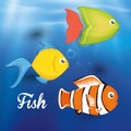Fish figure design Royalty Free Stock Photo