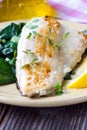 Fish fillet with chard Royalty Free Stock Photo