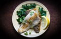 Fish fillet with chard Royalty Free Stock Photo