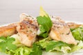 Fish fillet with fresh salad. Royalty Free Stock Photo