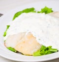 Fish fillet with sauce Royalty Free Stock Photo