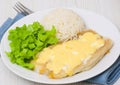 Fish fillet under cheese with rice and salad Royalty Free Stock Photo