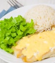 Fish fillet under cheese with rice and salad Royalty Free Stock Photo