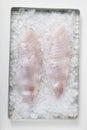 Fish fillets on ice