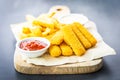 Fish finger and french fries or chips with tomato ketchup and mayonnaise sauce Royalty Free Stock Photo