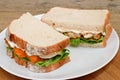 Fish Finger Sandwich on a plate Royalty Free Stock Photo