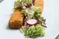 Fish fingers with green lettuce Royalty Free Stock Photo