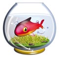 Fish in the fishbowl