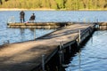 Fish fishing at a lake in central europe. Anglers fishing on the Royalty Free Stock Photo