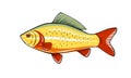 Fish Fishing River vector illustration Royalty Free Stock Photo