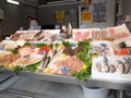 Fish on fishmonger's slab Royalty Free Stock Photo