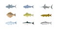 Fish Flat Illustrations Set