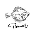 Fish Flounder. Hand drawn vector illustration. Engraving style. Isolated on white background.