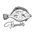 Fish Flounder. Hand drawn vector illustration. Engraving style. Isolated on white background.