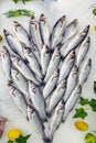 Fish Food in a Fish Market Stand Royalty Free Stock Photo