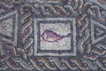 Fish on fragment of Lod Mosaic, famous Roman mosaic floor in Lod town in Israel, displayed in Shelby White and Leon Levy Lod