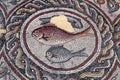 Fish on fragment of Lod Mosaic, famous Roman mosaic floor in Lod town in Israel, displayed in Shelby White and Leon Levy Lod