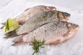 Fish fresh Royalty Free Stock Photo