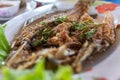 Fish fried fish sauce Royalty Free Stock Photo