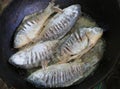 Fish fried in a pan Royalty Free Stock Photo