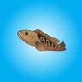 Channa Snakehead Fish vector illustration for sign symbol for education and element sea