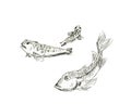 Fish. A graphical illustration of a fish drawn with a pencil. Fish on a white background.