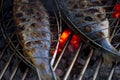 Fish on grill Royalty Free Stock Photo