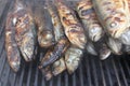 Trouts on the grill Royalty Free Stock Photo