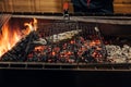 Fish in grill bar cooking Royalty Free Stock Photo