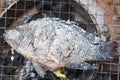 Fish on grill - Close up of tilapia fish grilled with salt on fire and smoke , fish burn asian food Royalty Free Stock Photo