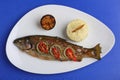 Fish grill dish baked whole grilled on a plate with vegetables and lemon on top Royalty Free Stock Photo