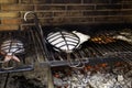 Fish on grill