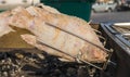 Fish grilled with dried salted cover-thai style street food Royalty Free Stock Photo