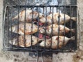 fish grilled on wood charcoal, a suitable photo for a seafood seller