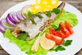 Fish hake baked with vegetables Royalty Free Stock Photo