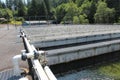 Fish Hatchery