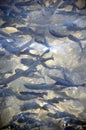 Fish hatchery Royalty Free Stock Photo