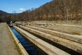 Fish Hatchery - USA