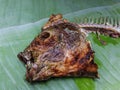 Fish head Royalty Free Stock Photo