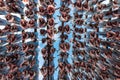 Fish hanged to dry in Norway