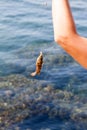 Fish hooked on a hook against the sea Royalty Free Stock Photo