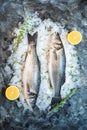 Fish with ice for cooking in a restaurant. Fresh raw sea bass fish with lemon slices on a gray background, top view Royalty Free Stock Photo