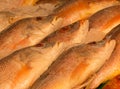 Fish on ice at a fish market. Royalty Free Stock Photo
