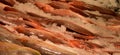 Fish on ice at a fish market. Royalty Free Stock Photo