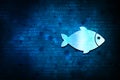 Fish icon abstract blue background illustration design Royalty Free Stock Photo