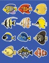 fish icon set cartoon style isolated on blue Royalty Free Stock Photo