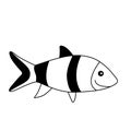 Fish icon vector. Aquarium illustration sign. Ocean symbol. Funny fish logo.