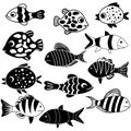 Fish icon vector. Aquarium illustration sign. Ocean symbol. Funny fish logo.