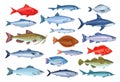 Fish icons, seafood